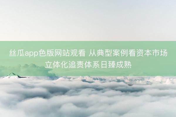 丝瓜app色版网站观看 从典型案例看资本市场立体化追责体系日臻成熟