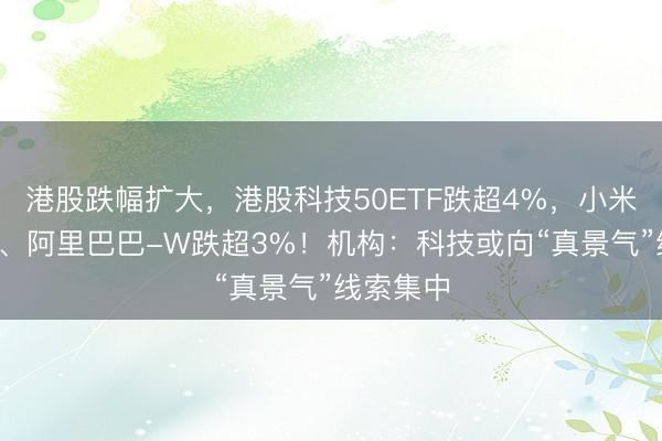 港股跌幅扩大，港股科技50ETF跌超4%，小米集团-W、阿里巴巴-W跌超3%！机构：科技或向“真景气”线索集中