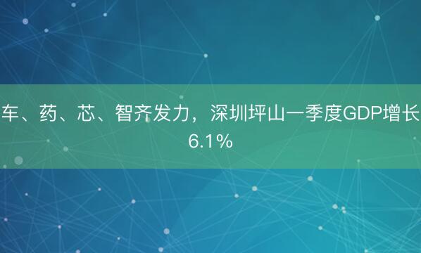 车、药、芯、智齐发力，深圳坪山一季度GDP增长6.1%
