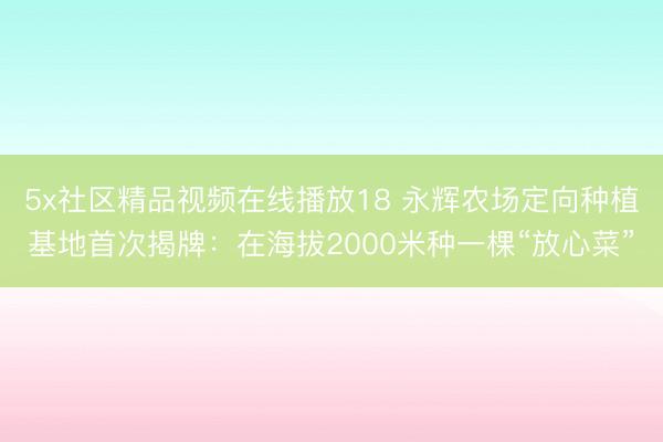 5x社区精品视频在线播放18 永辉农场定向种植基地首次揭牌：在海拔2000米种一棵“放心菜”