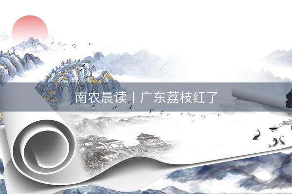南农晨读丨广东荔枝红了