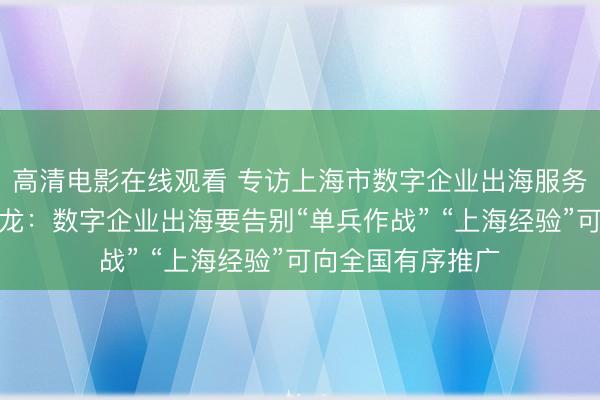 高清电影在线观看 专访上海市数字企业出海服务协会秘书长贺仁龙：数字企业出海要告别“单兵作战” “上海经验”可向全国有序推广