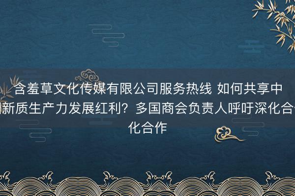 含羞草文化传媒有限公司服务热线 如何共享中国新质生产力发展红利？多国商会负责人呼吁深化合作