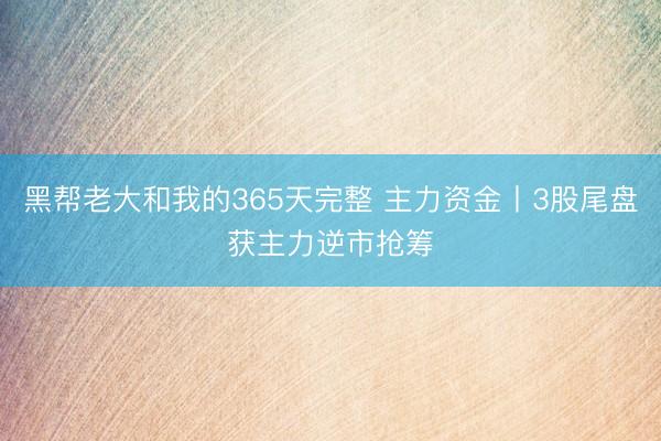 黑帮老大和我的365天完整 主力资金丨3股尾盘获主力逆市抢筹