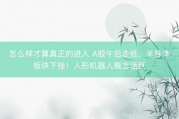 怎么样才算真正的进入 A股午后走低，半导体板块下挫！人形机器人概念活跃