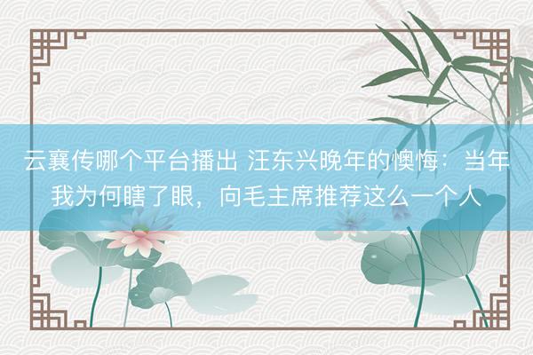 云襄传哪个平台播出 汪东兴晚年的懊悔：当年我为何瞎了眼，向毛主席推荐这么一个人