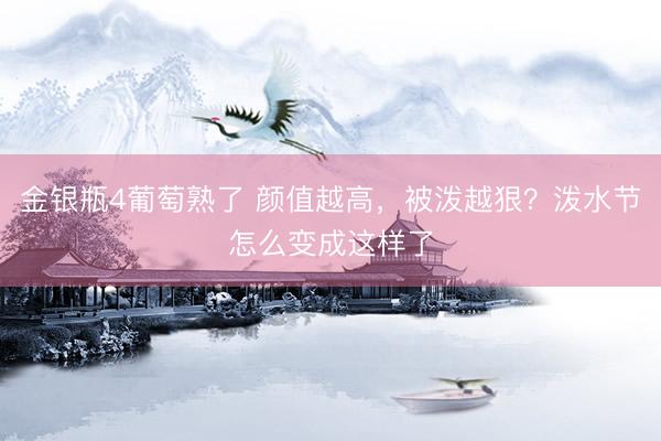 金银瓶4葡萄熟了 颜值越高，被泼越狠？泼水节怎么变成这样了
