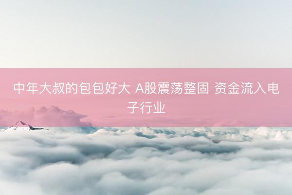中年大叔的包包好大 A股震荡整固 资金流入电子行业