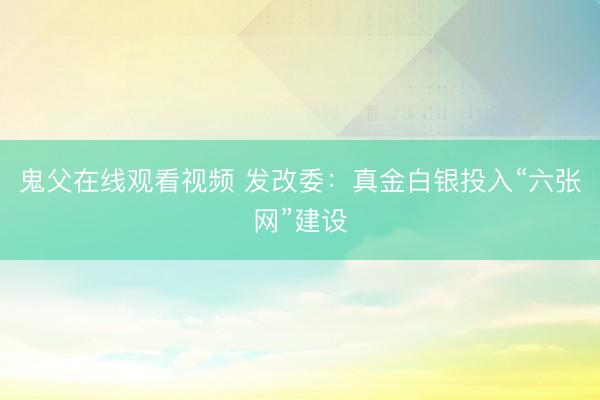 鬼父在线观看视频 发改委：真金白银投入“六张网”建设