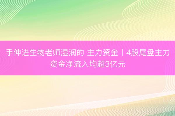 手伸进生物老师湿润的 主力资金丨4股尾盘主力资金净流入均超3亿元