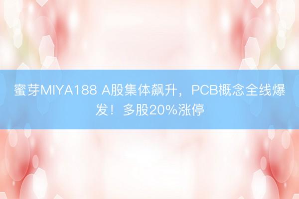 蜜芽MIYA188 A股集体飙升，PCB概念全线爆发！多股20%涨停