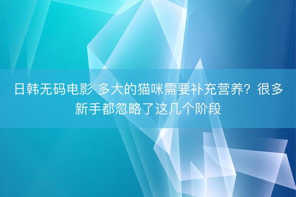 日韩无码电影 多大的猫咪需要补充营养?很多新手都忽略了这几个阶段