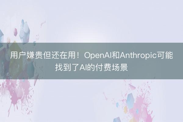用户嫌贵但还在用！OpenAI和Anthropic可能找到了AI的付费场景
