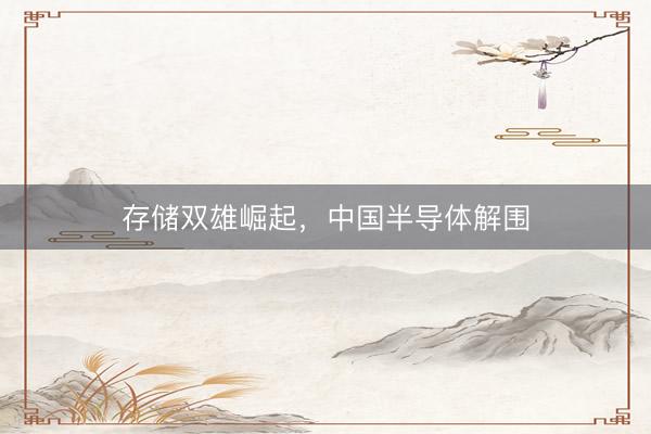 存储双雄崛起，中国半导体解围