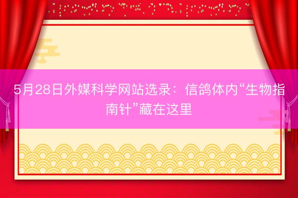 5月28日外媒科学网站选录：信鸽体内“生物指南针”藏在这里