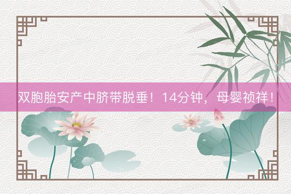 双胞胎安产中脐带脱垂！14分钟，母婴祯祥！