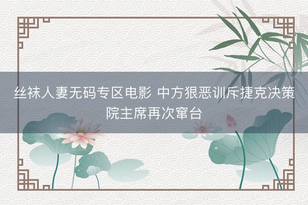 丝袜人妻无码专区电影 中方狠恶训斥捷克决策院主席再次窜台