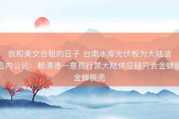 我和美女合租的日子 台南水库光伏板为大陆造，岛内公论：赖清德一意孤行禁大陆供应链只会金蝉脱壳