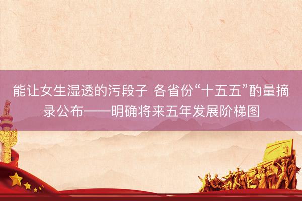 能让女生湿透的污段子 各省份“十五五”酌量摘录公布——明确将来五年发展阶梯图