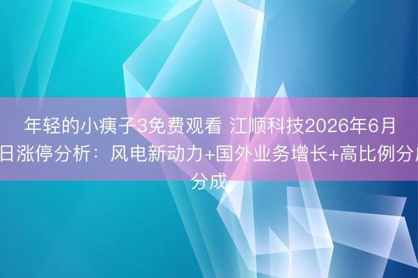 年轻的小痍子3免费观看 江顺科技2026年6月5日涨停分析：风电新动力+国外业务增长+高比例分成