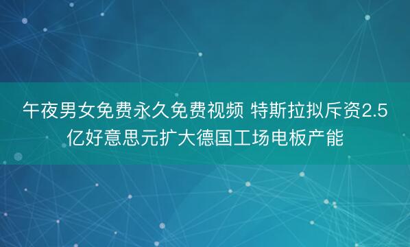 午夜男女免费永久免费视频 特斯拉拟斥资2.5亿好意思元扩大德国工场电板产能