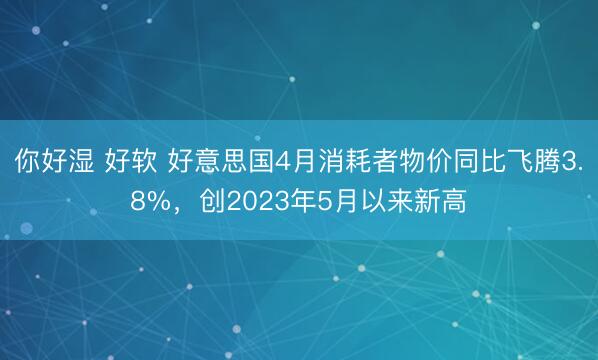 你好湿 好软 好意思国4月消耗者物价同比飞腾3.8%，创2023年5月以来新高