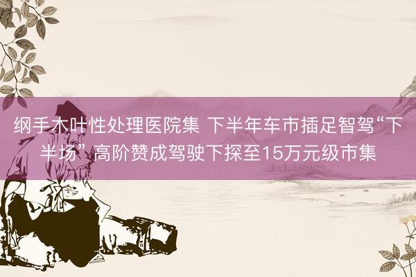 纲手木叶性处理医院集 下半年车市插足智驾“下半场” 高阶赞成驾驶下探至15万元级市集