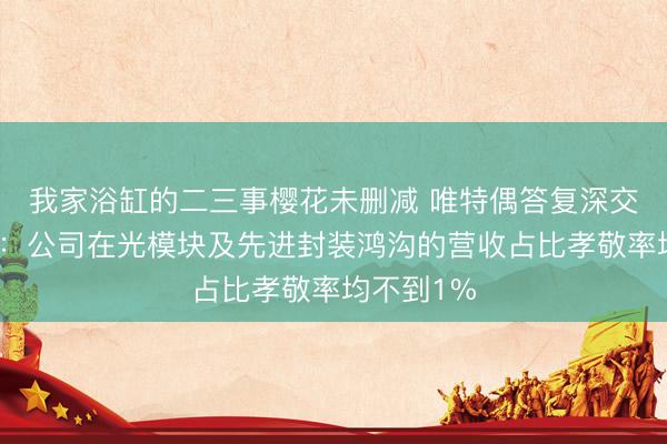 我家浴缸的二三事樱花未删减 唯特偶答复深交所热心函：公司在光模块及先进封装鸿沟的营收占比孝敬率均不到1%