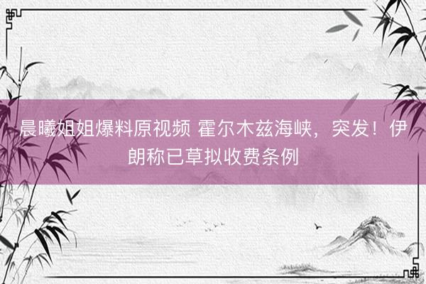 晨曦姐姐爆料原视频 霍尔木兹海峡，突发！伊朗称已草拟收费条例