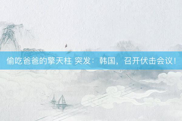 偷吃爸爸的擎天柱 突发：韩国，召开伏击会议！