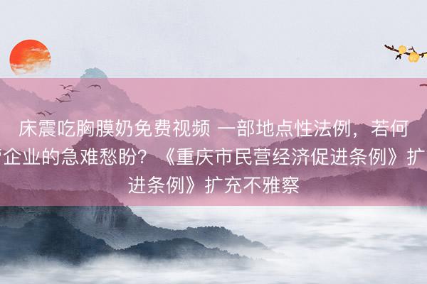 床震吃胸膜奶免费视频 一部地点性法例，若何回复民营企业的急难愁盼？《重庆市民营经济促进条例》扩充不雅察