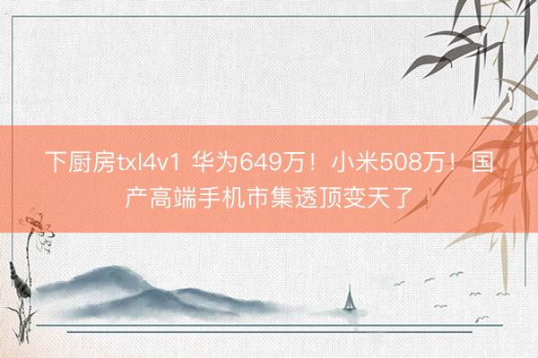 下厨房txl4v1 华为649万！小米508万！国产高端手机市集透顶变天了