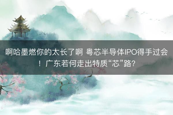 啊哈墨燃你的太长了啊 粤芯半导体IPO得手过会！广东若何走出特质“芯”路？