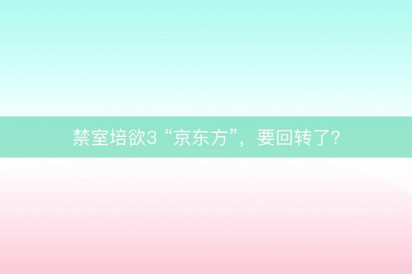 禁室培欲3 “京东方”，要回转了？