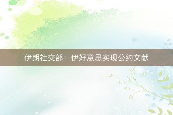 伊朗社交部：伊好意思实现公约文献